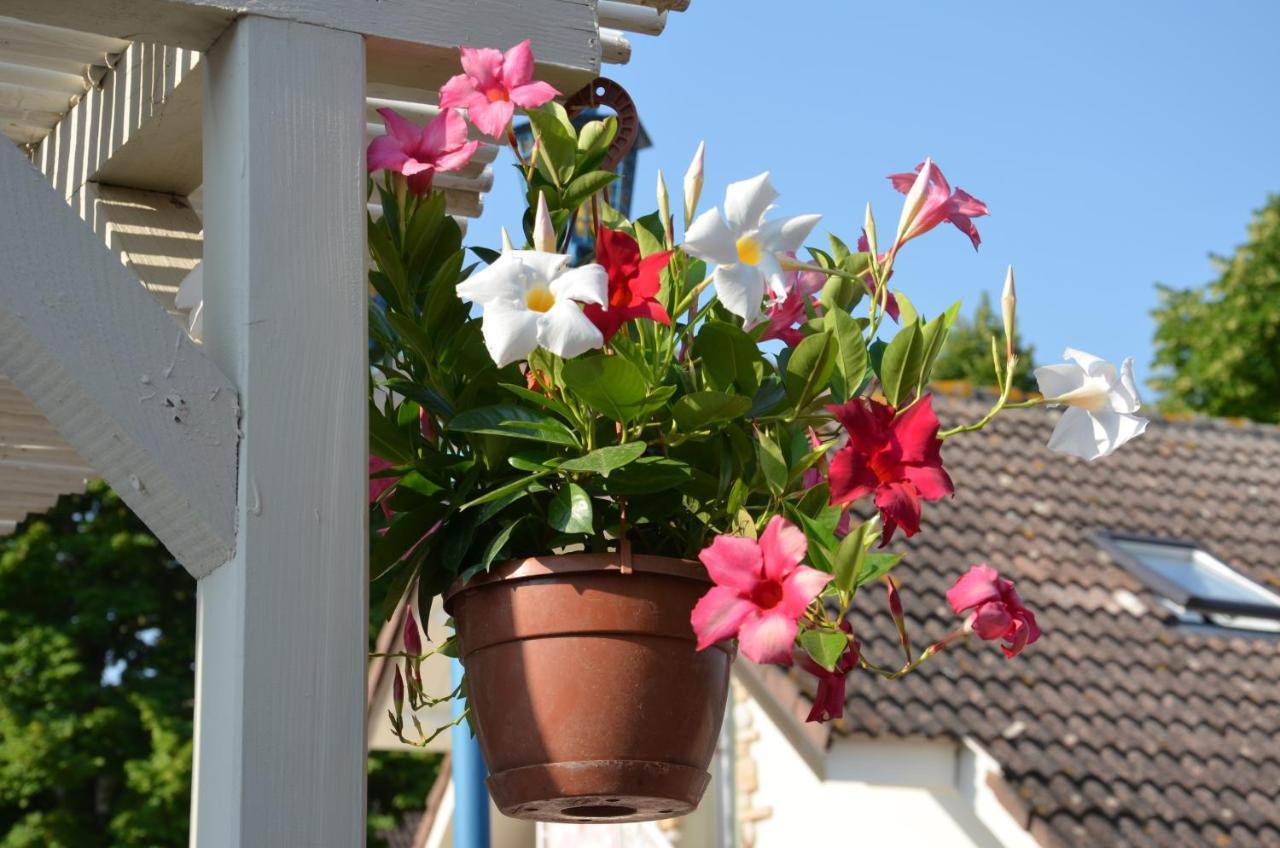 L'Albero dei Gufi Bed and Breakfast Copparo Esterno foto