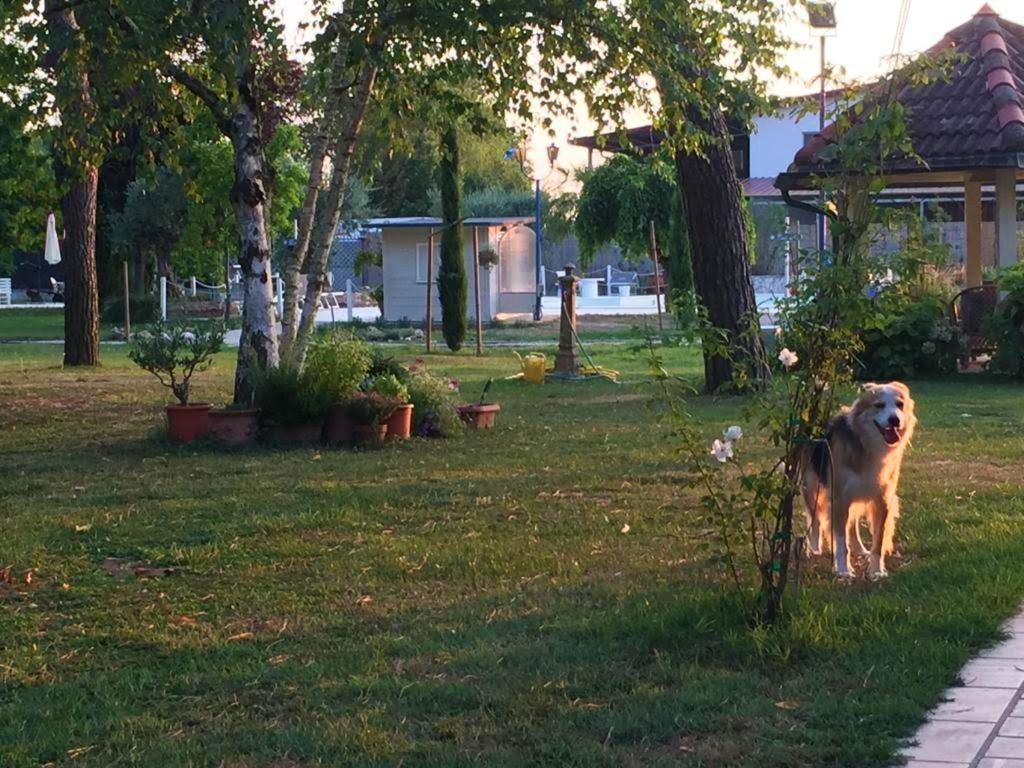 L'Albero dei Gufi Bed and Breakfast Copparo Esterno foto